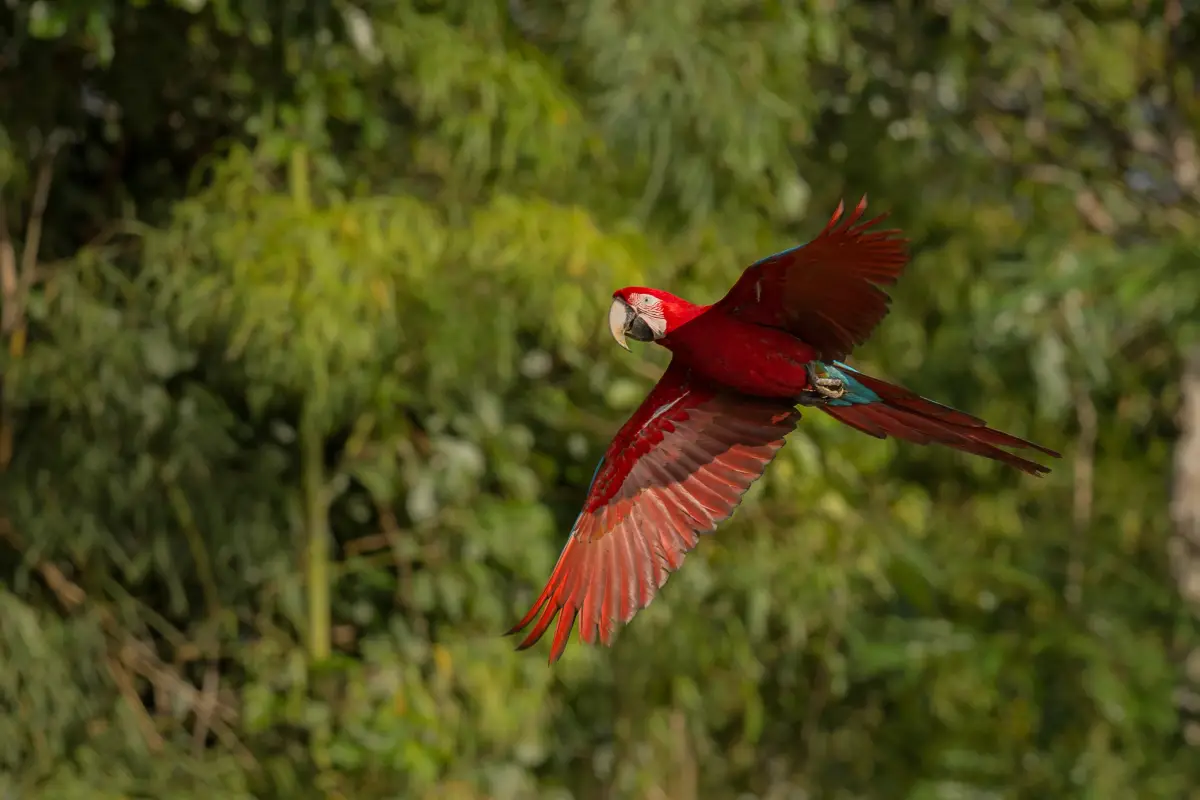 Costa Rica